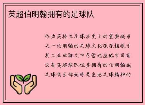 英超伯明翰拥有的足球队