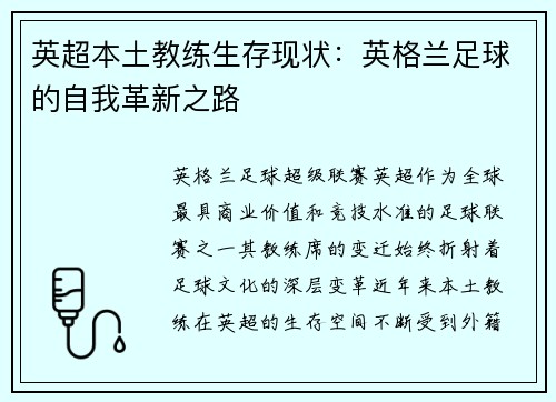 英超本土教练生存现状：英格兰足球的自我革新之路