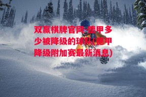 双赢棋牌官网-德甲多少被降级的球队(德甲降级附加赛最新消息)